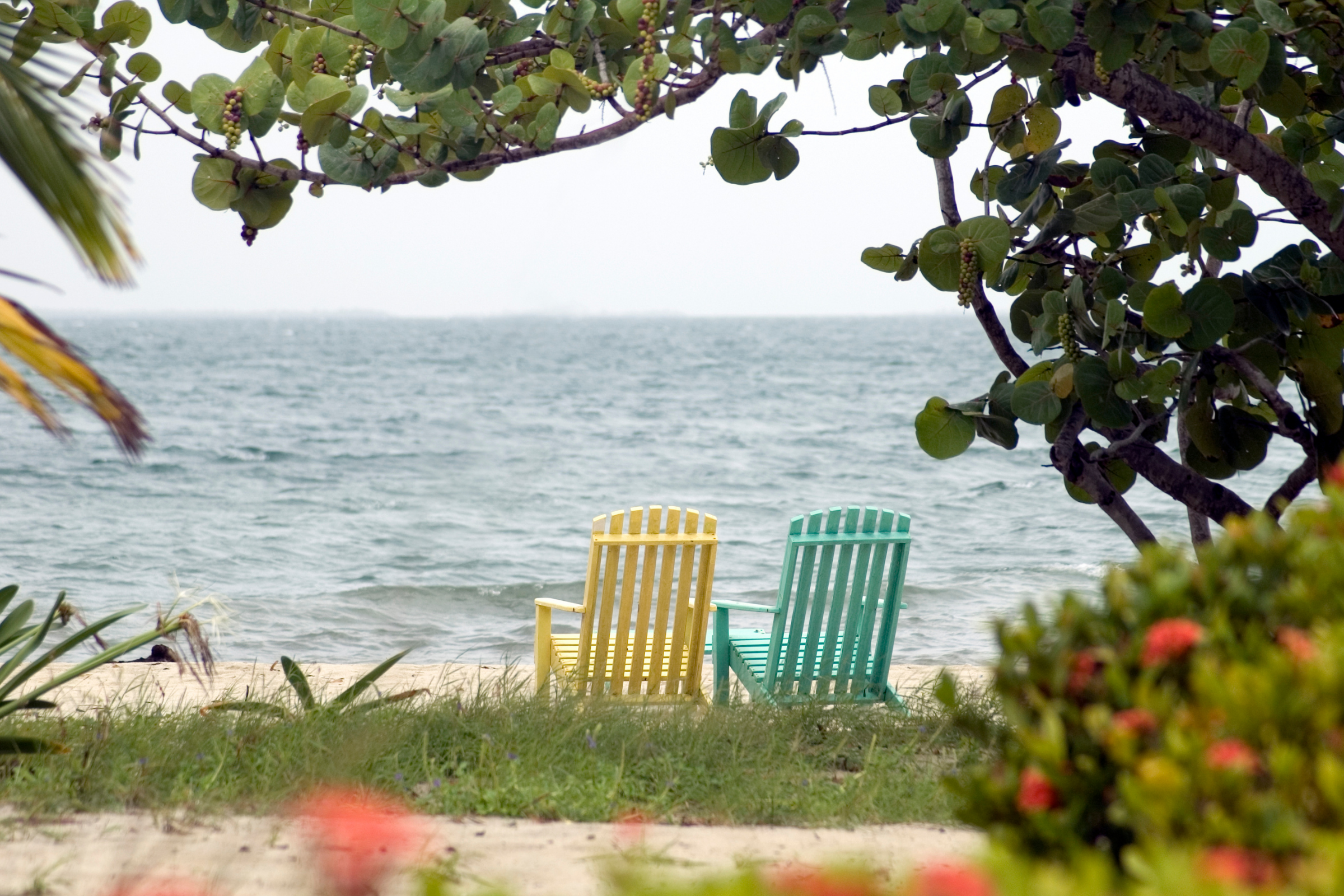 placencia (4).webp